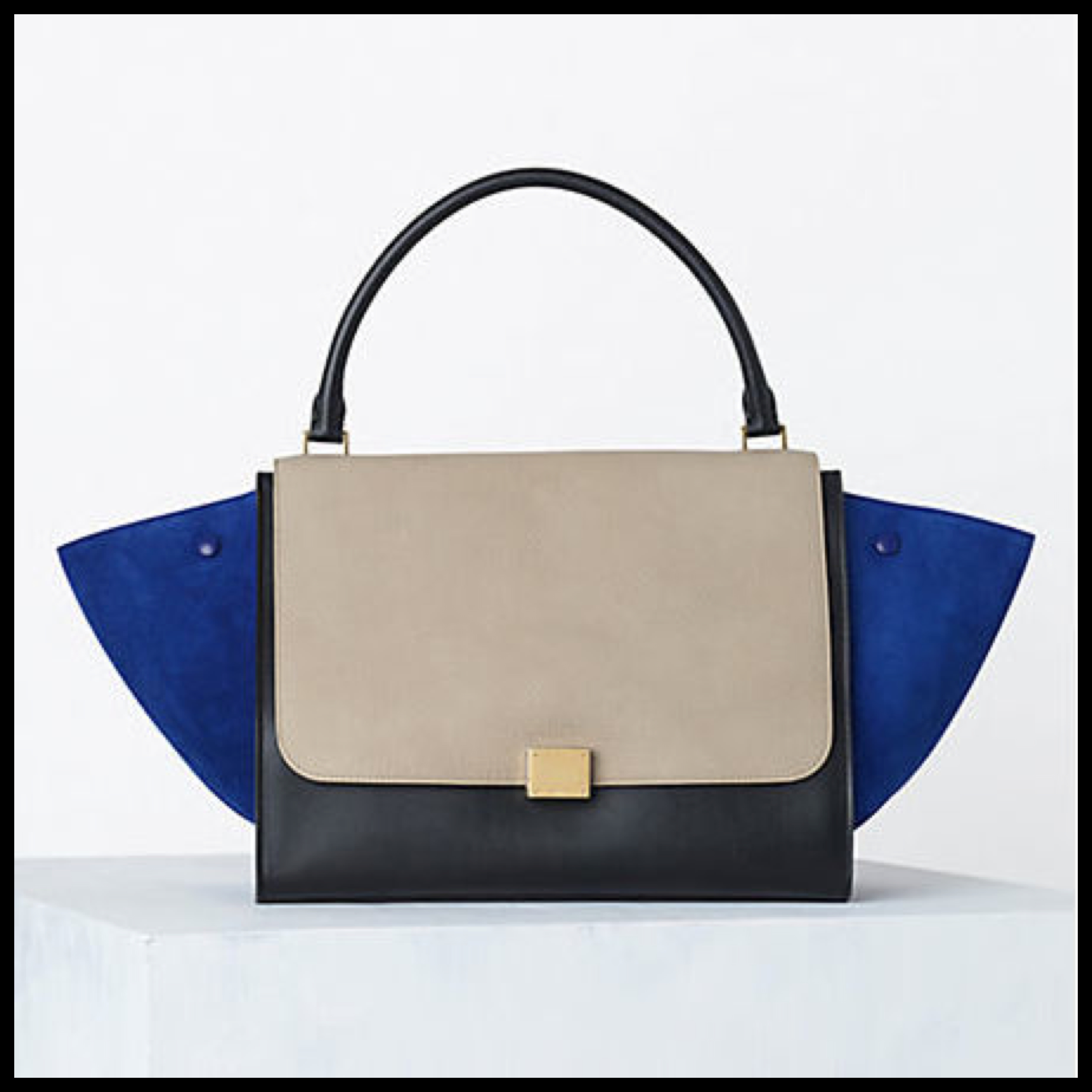 STATEMENT OF THE DAY: CLINE TRAPEZE BAG | THE STATEMENT BOX